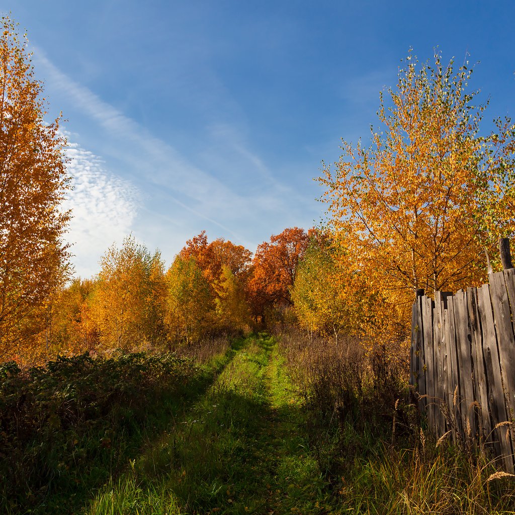 Обои деревья, пейзаж, осень, забор, trees, landscape, autumn, the fence разрешение 2304x1536 Загрузить