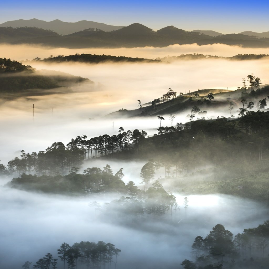 Обои деревья, холмы, природа, утро, туман, вьетнам, trees, hills, nature, morning, fog, vietnam разрешение 7680x4262 Загрузить