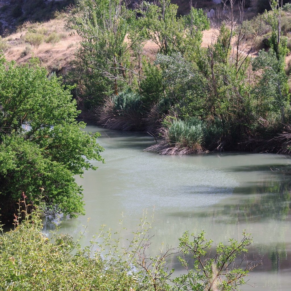 Обои вода, река, природа, отражение, испания, растительность, water, river, nature, reflection, spain, vegetation разрешение 2000x1338 Загрузить