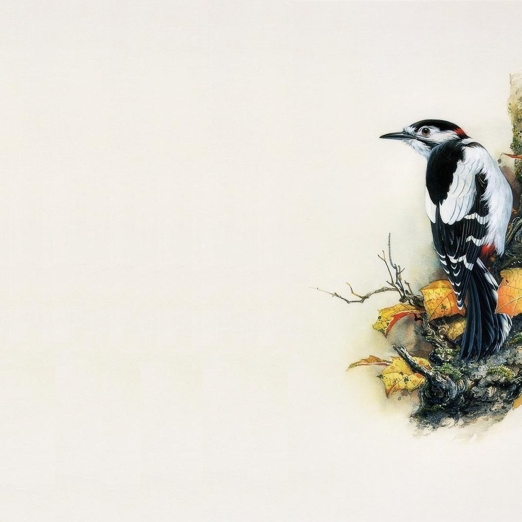 Обои арт, дерево, минимализм, птица, живопись, дятел, zeng xiao lian, art, tree, minimalism, bird, painting, woodpecker разрешение 1920x1080 Загрузить