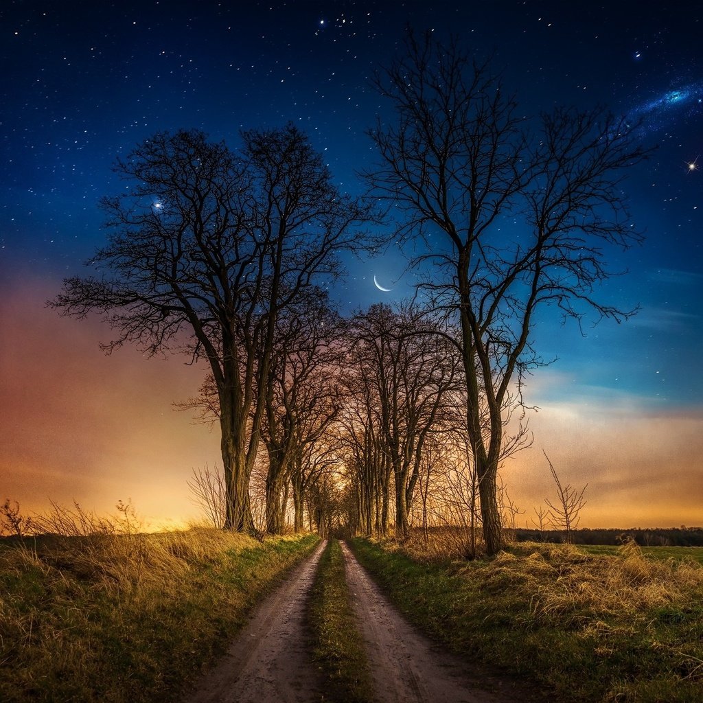 Обои дорога, трава, ночь, деревья, звезды, луна, road, grass, night, trees, stars, the moon разрешение 2048x1346 Загрузить