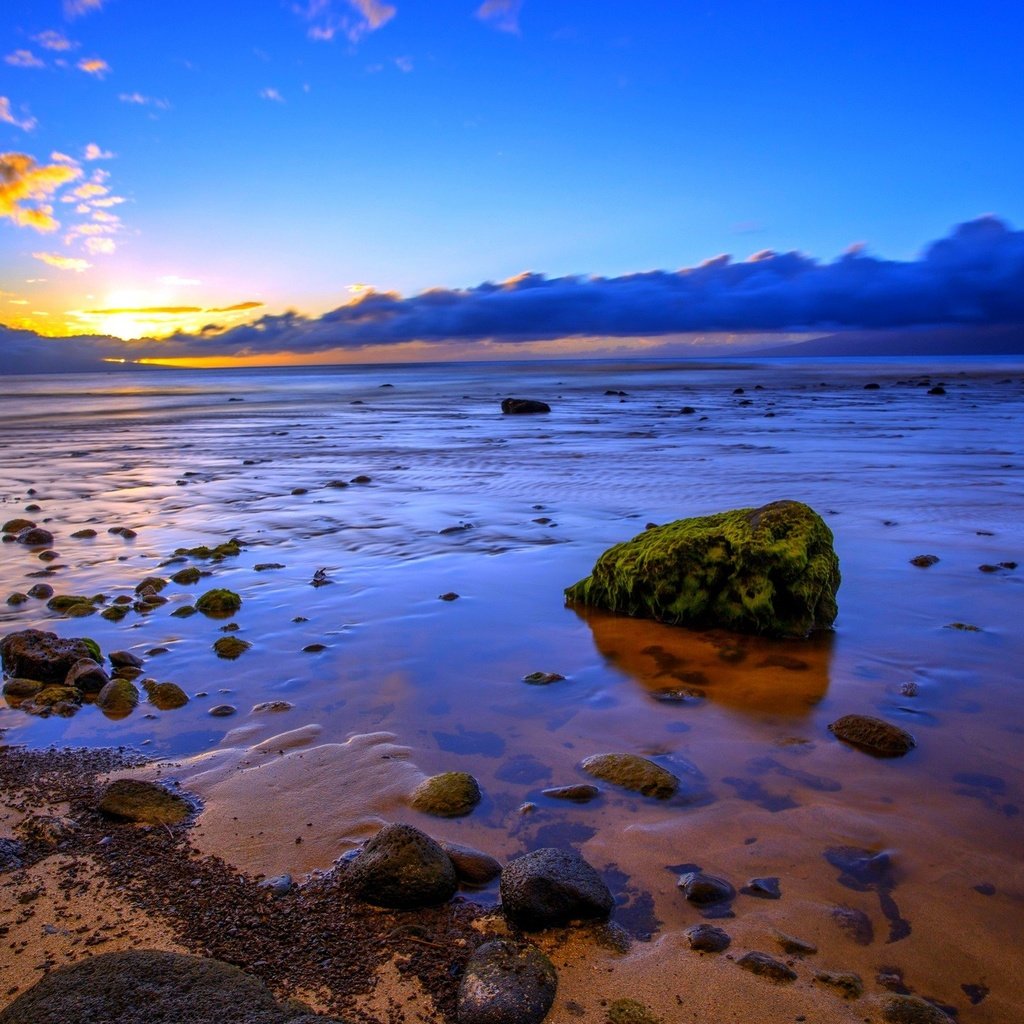 Обои камни, пляж, побережье, океан, сша, гавайи, остров мауи, stones, beach, coast, the ocean, usa, hawaii разрешение 2560x1600 Загрузить