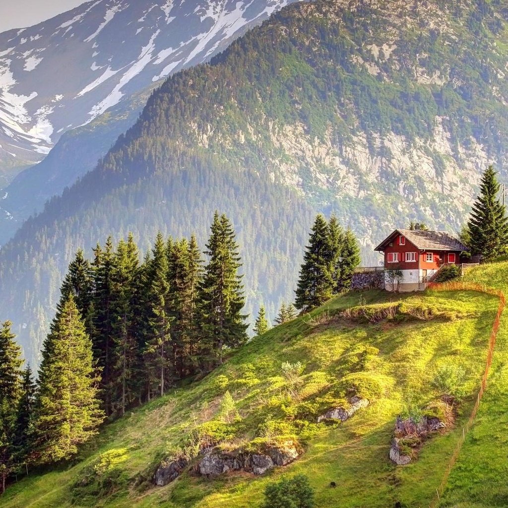 Обои горы, лес, швейцария, домик, альпы, mountains, forest, switzerland, house, alps разрешение 1920x1080 Загрузить