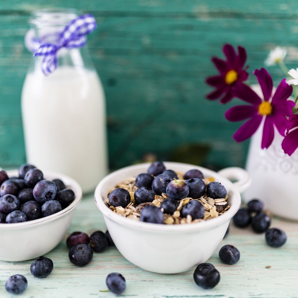 Обои ягоды, черника, завтрак, молоко, миска, мюсли, berries, blueberries, breakfast, milk, bowl, muesli разрешение 4050x2700 Загрузить