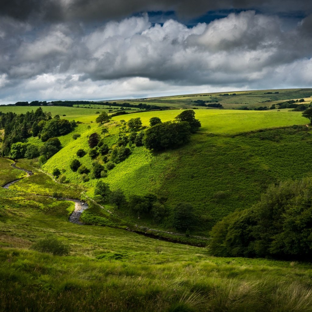 Обои небо, дорога, холмы, кусты, the sky, road, hills, the bushes разрешение 3840x2160 Загрузить