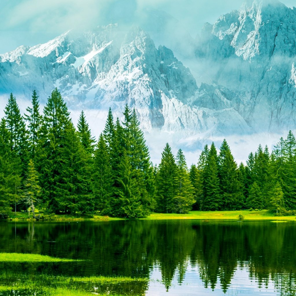 Обои деревья, озеро, горы, природа, лес, туман, trees, lake, mountains, nature, forest, fog разрешение 7680x4320 Загрузить