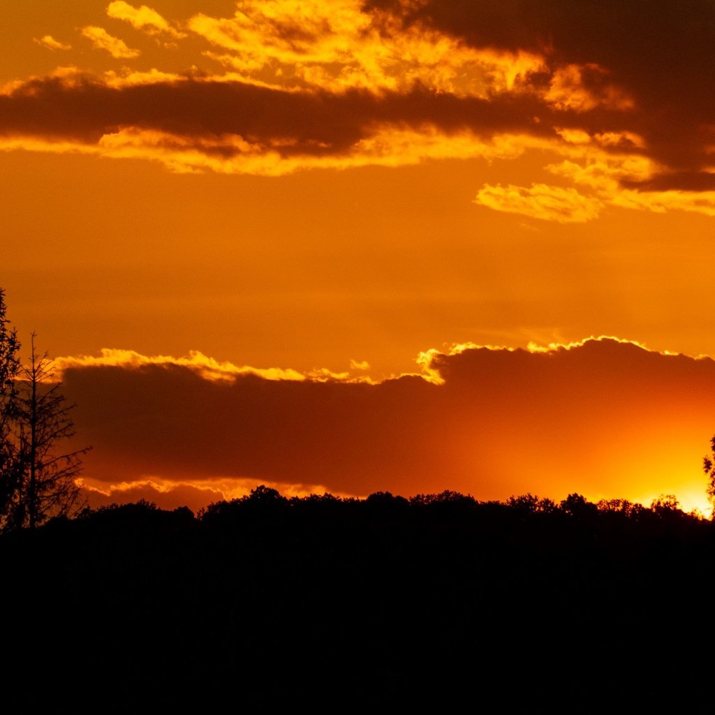 Обои небо, деревья, солнце, закат, силуэт, the sky, trees, the sun, sunset, silhouette разрешение 3840x2160 Загрузить