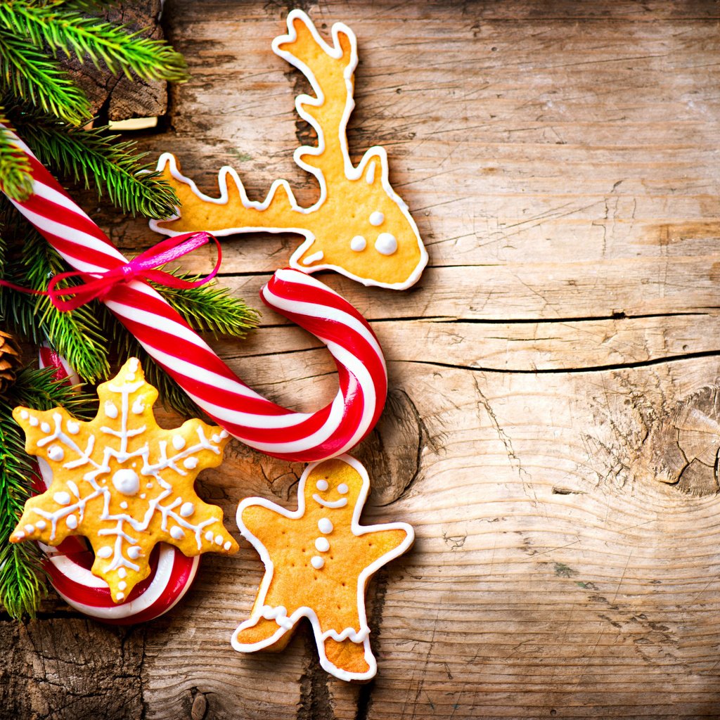 Обои новый год, праздник, рождество, печенье, леденцы, угощения, ветки ели, новогоднее печенье, new year, holiday, christmas, cookies, lollipops, treats, fir-tree branches разрешение 1920x1200 Загрузить