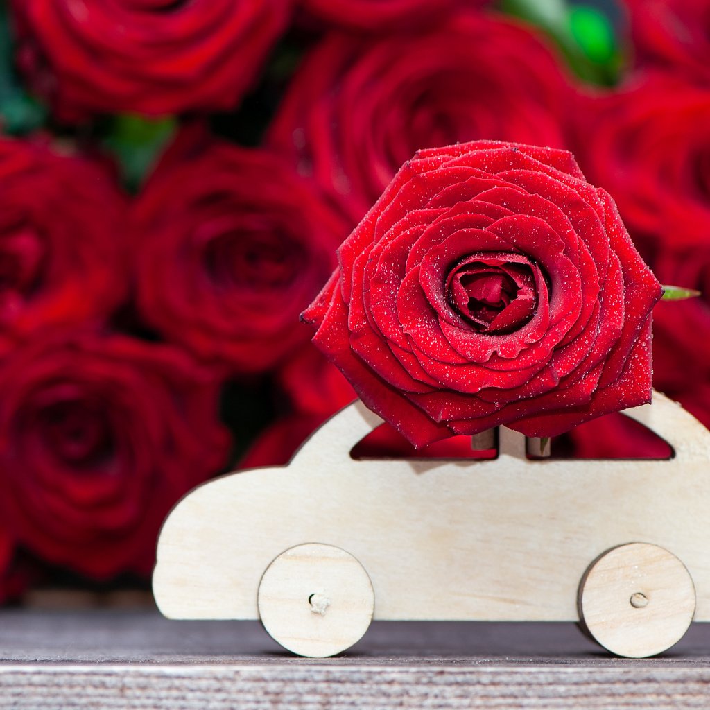 Обои машина, розы, красные, букет, деревянная, машинка, деревянная., machine, roses, red, bouquet, wooden разрешение 4256x2832 Загрузить