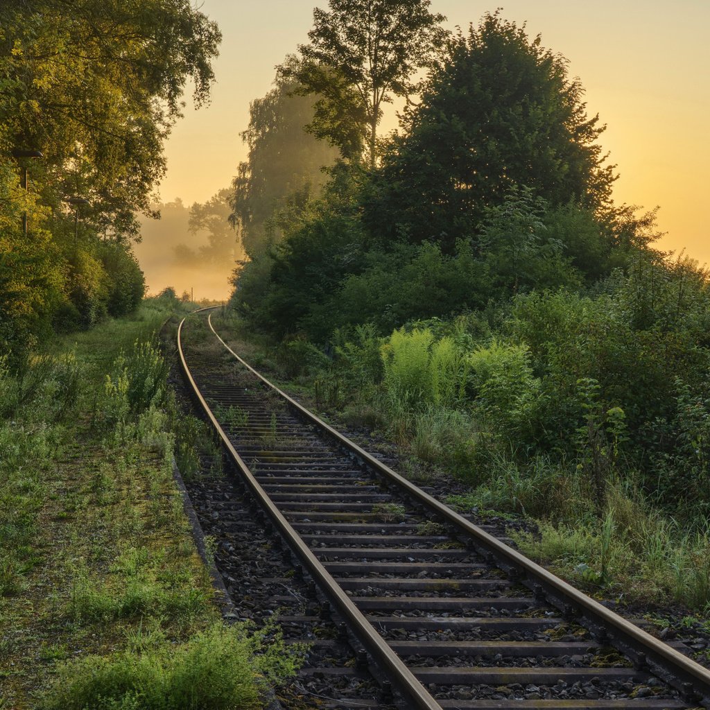 Обои дорога, железная дорога, природа, лес, утро, туман, road, railroad, nature, forest, morning, fog разрешение 2112x1188 Загрузить