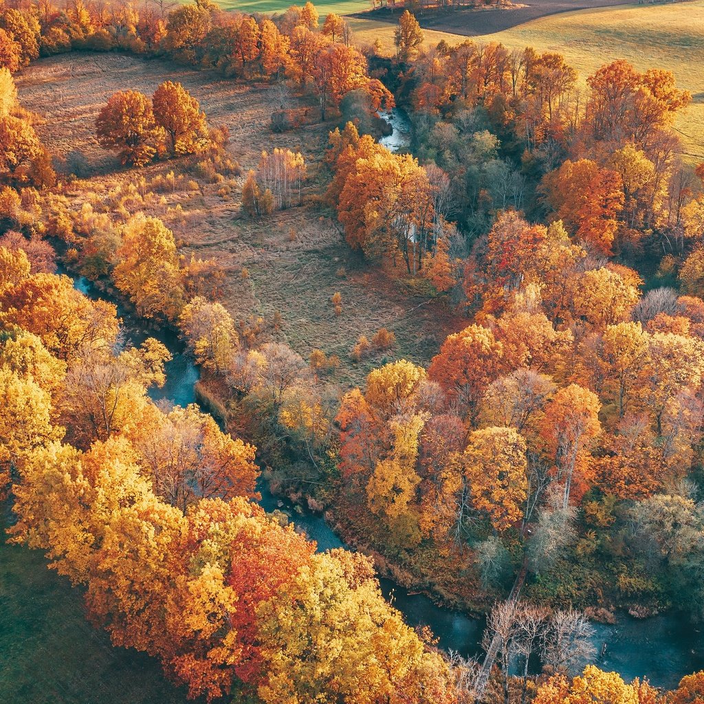 Обои деревья, река, природа, пейзаж, вид сверху, осень, trees, river, nature, landscape, the view from the top, autumn разрешение 3840x2160 Загрузить