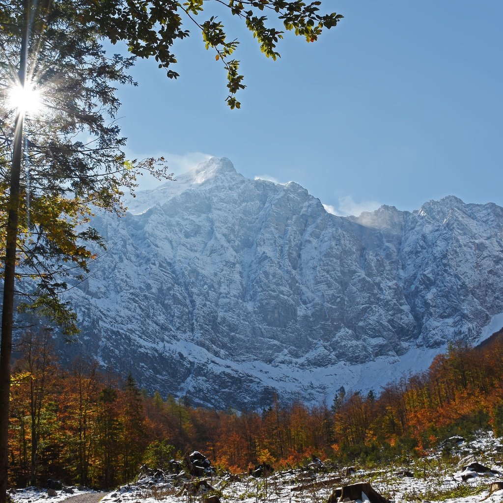 Обои деревья, горы, лес, осень, словения, julian alps, юлийские альпы, trees, mountains, forest, autumn, slovenia, the julian alps разрешение 4800x3008 Загрузить