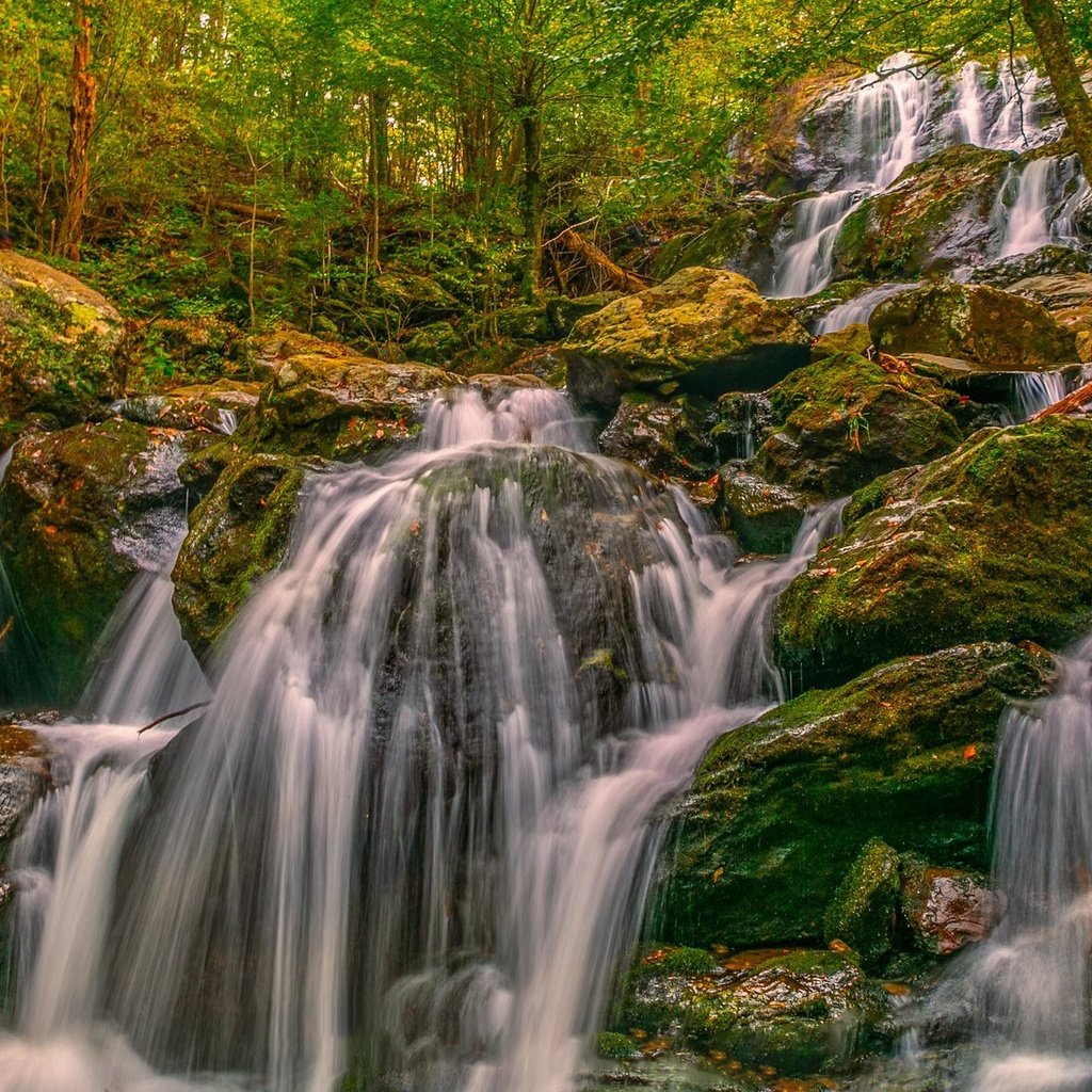 Обои деревья, камни, лес, водопад, каскад, trees, stones, forest, waterfall, cascade разрешение 2048x1152 Загрузить