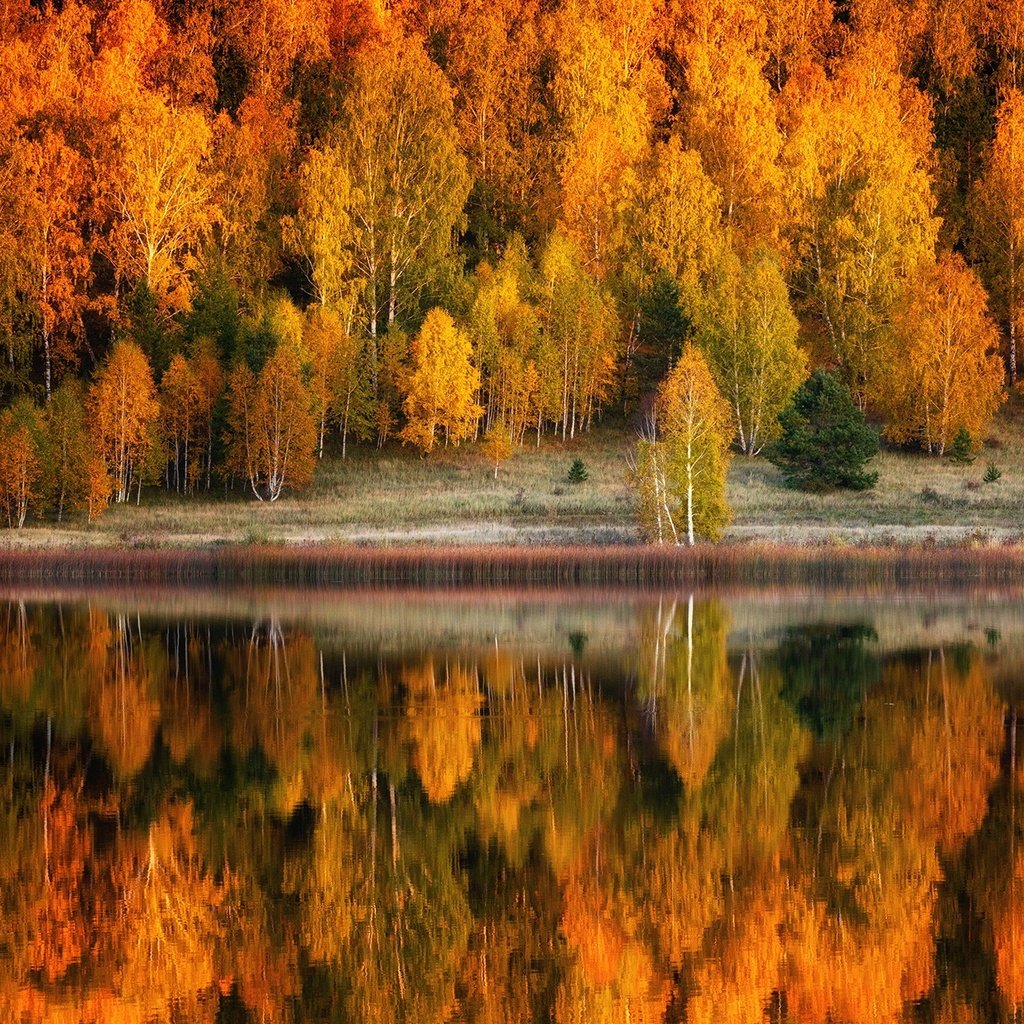 Обои деревья, озеро, природа, берег, лес, отражение, пейзаж, осень, trees, lake, nature, shore, forest, reflection, landscape, autumn разрешение 1920x1280 Загрузить