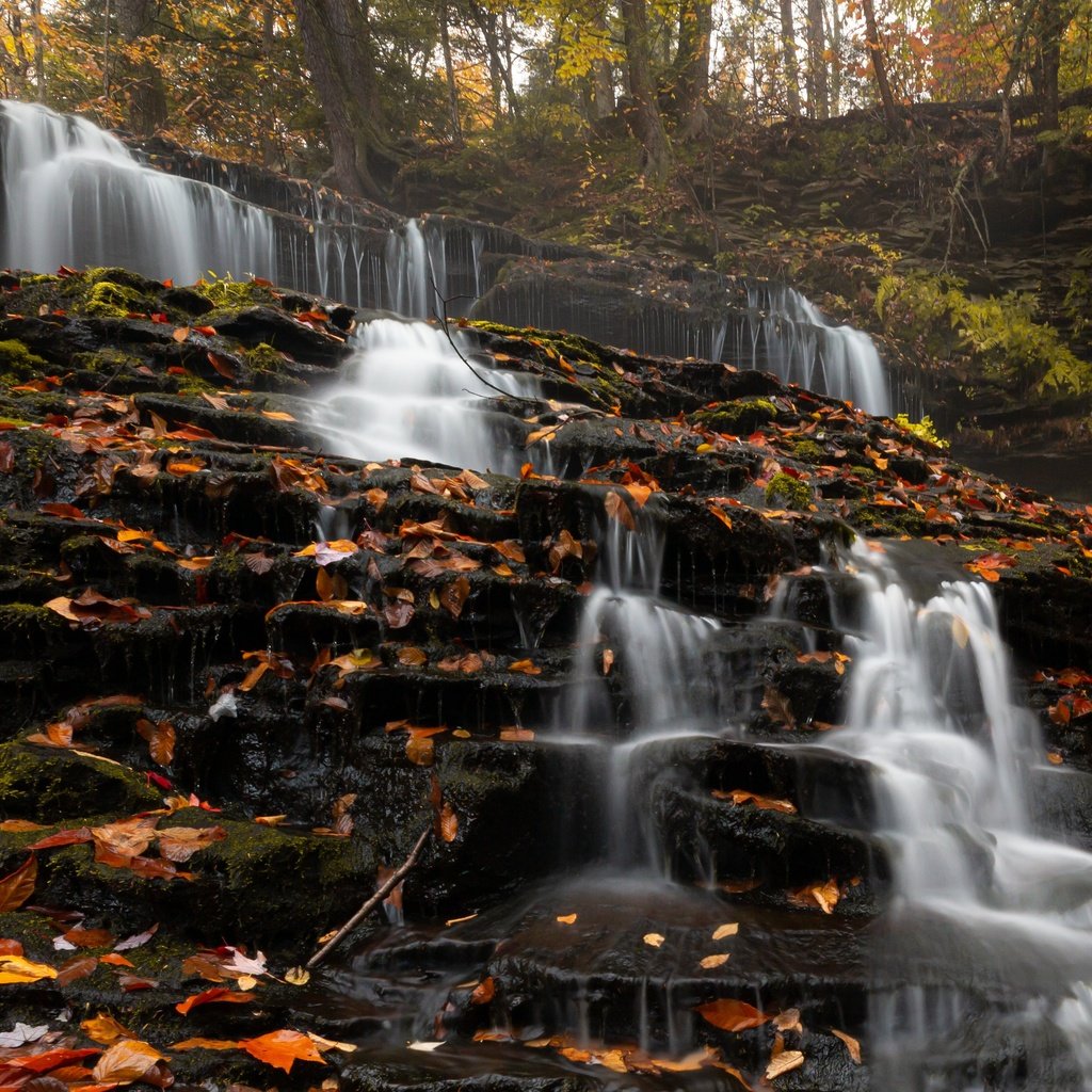 Обои деревья, природа, камни, лес, листья, водопад, сша, trees, nature, stones, forest, leaves, waterfall, usa разрешение 3715x2477 Загрузить