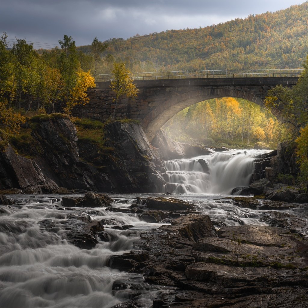 Обои деревья, река, лес, мост, водопад, осень, каскад, trees, river, forest, bridge, waterfall, autumn, cascade разрешение 6144x4098 Загрузить