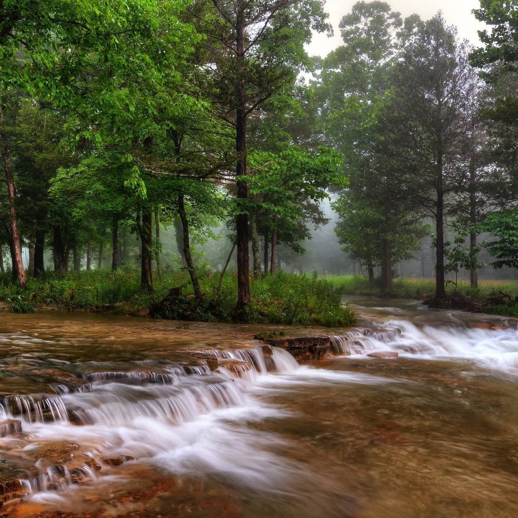 Обои деревья, река, природа, лес, туман, сша, миссури, trees, river, nature, forest, fog, usa, missouri разрешение 2048x1343 Загрузить