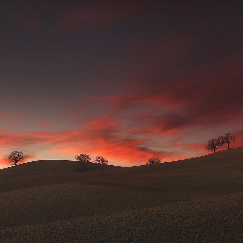 Обои облака, деревья, холмы, clouds, trees, hills разрешение 2500x1406 Загрузить