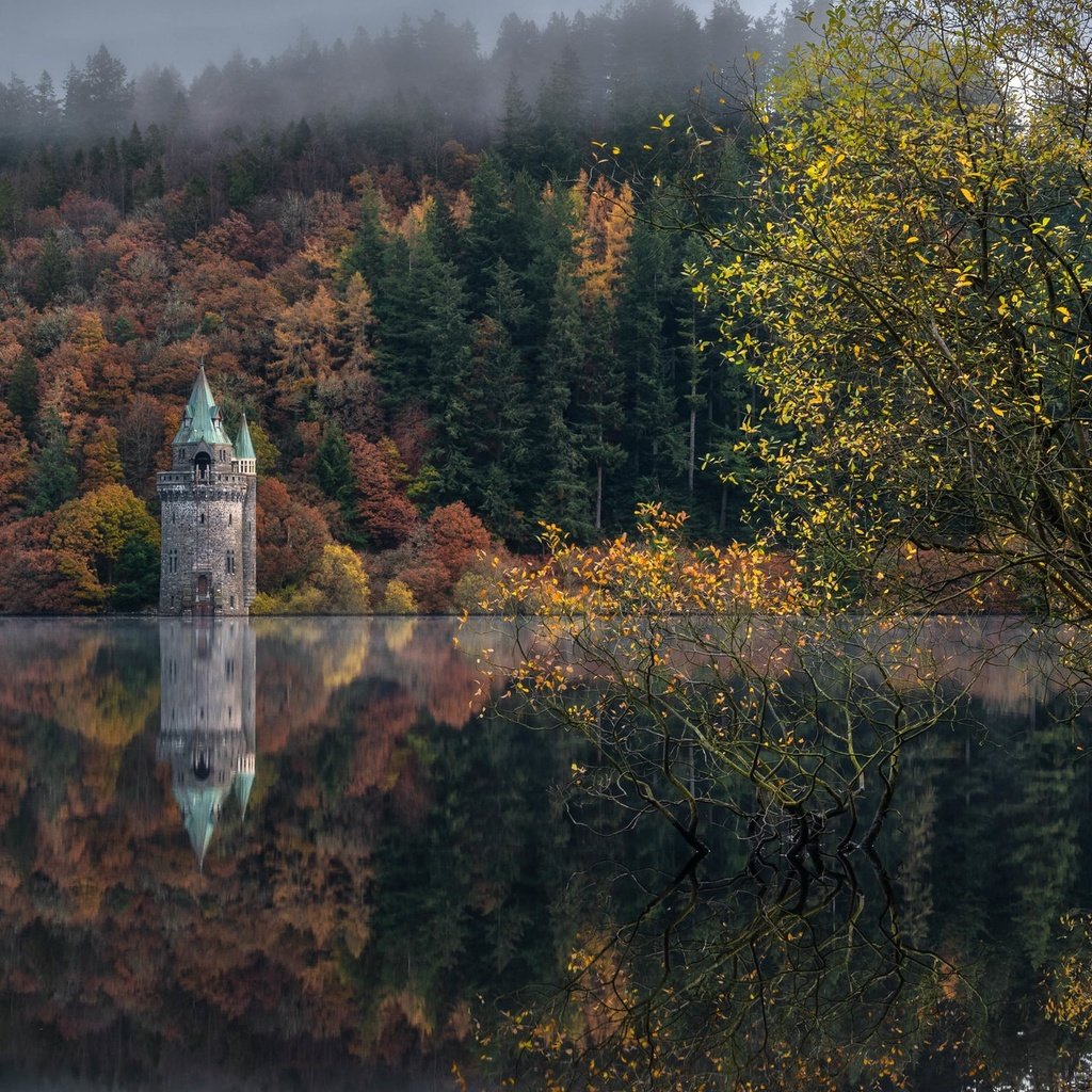 Обои озеро, природа, lake, nature разрешение 2048x1300 Загрузить