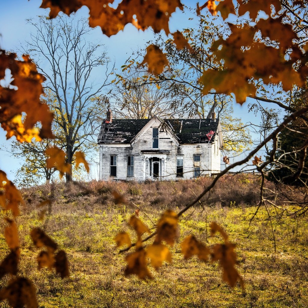 Обои природа, осень, дом, nature, autumn, house разрешение 3840x2160 Загрузить