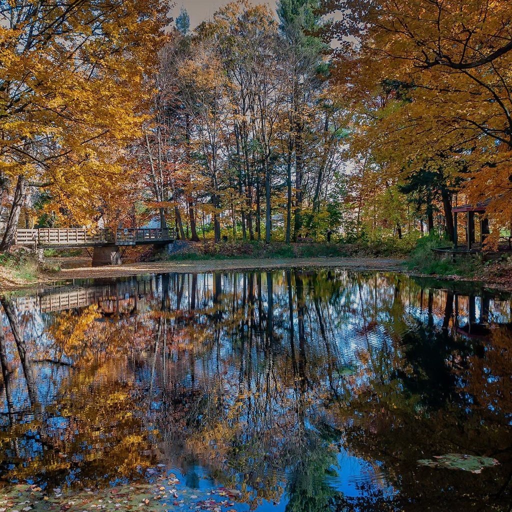 Обои деревья, природа, отражение, парк, мост, осень, trees, nature, reflection, park, bridge, autumn разрешение 2123x1329 Загрузить