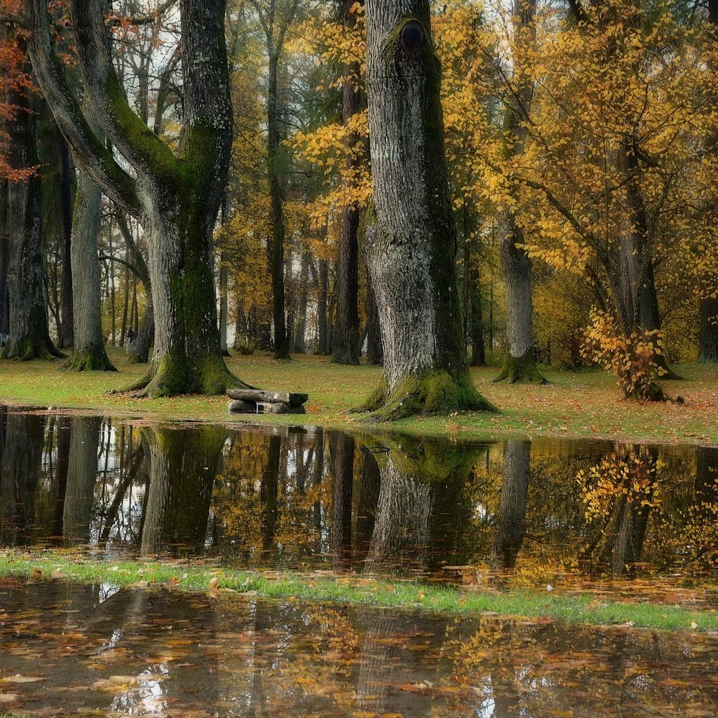 Обои природа, парк, nature, park разрешение 3840x2160 Загрузить