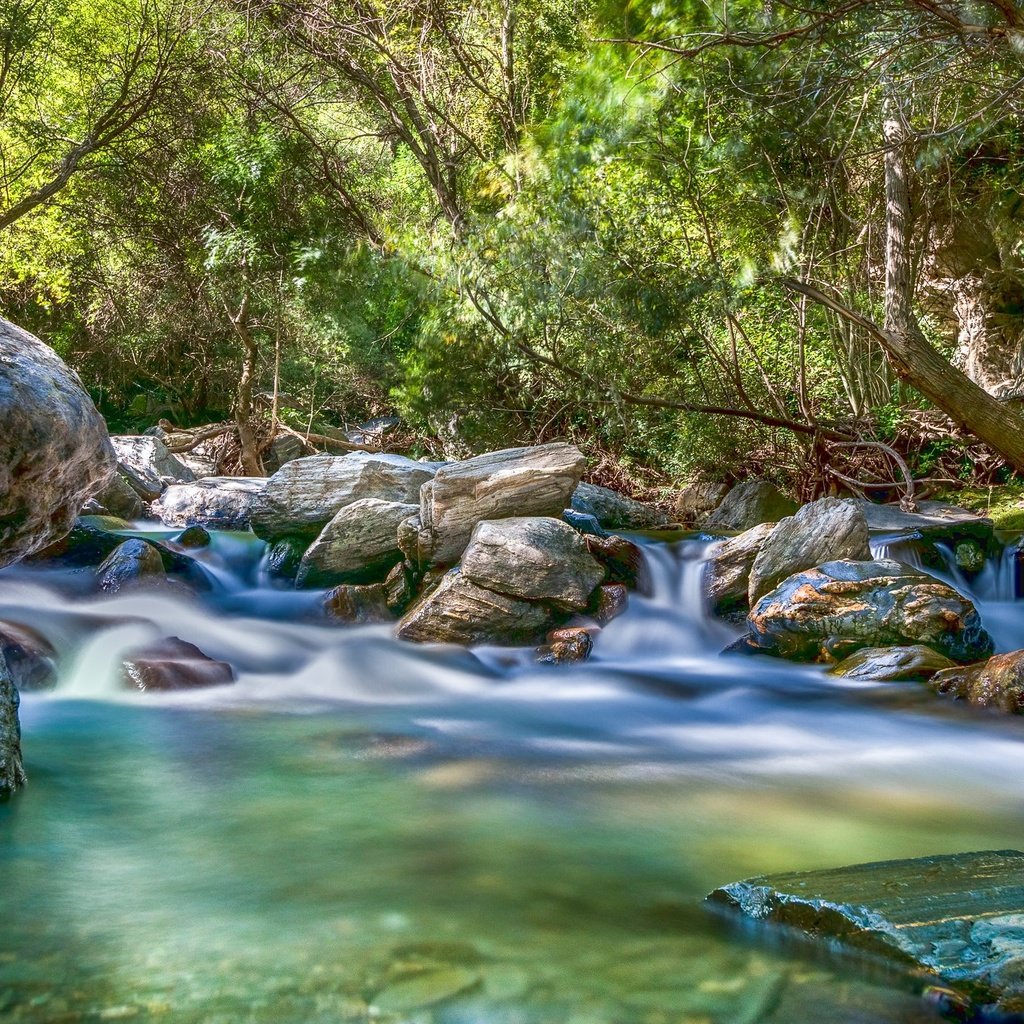 Обои река, камни, лес, поток, river, stones, forest, stream разрешение 2048x1365 Загрузить