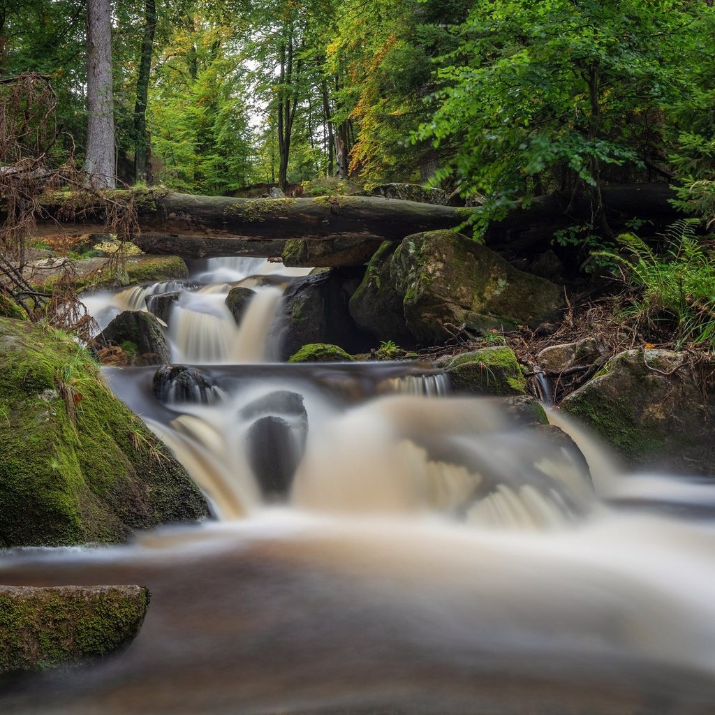 Обои река, камни, лес, водопад, мох, германия, каскад, harz national park, саксония-анхальт, saxony-anhalt, river, stones, forest, waterfall, moss, germany, cascade разрешение 2048x1152 Загрузить