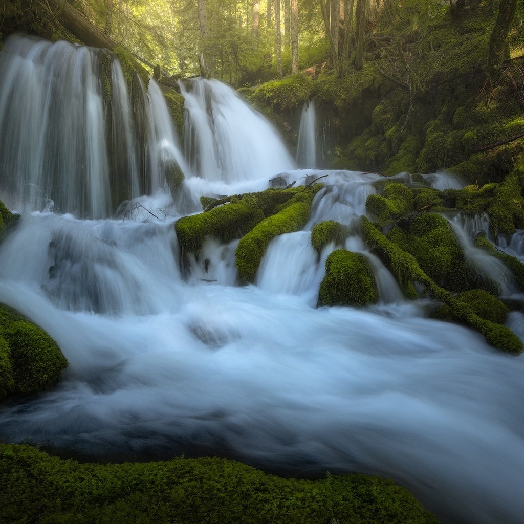 Обои река, водопады, камни, каскад, зелень, лес, водопад, поток, мох, корни, river, waterfalls, stones, cascade, greens, forest, waterfall, stream, moss, roots разрешение 2048x1365 Загрузить