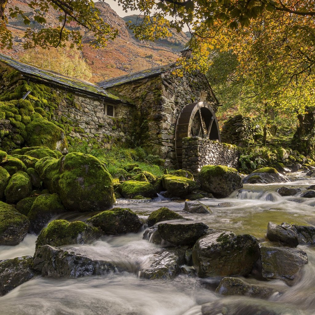 Обои река, осень, мельница, river, autumn, mill разрешение 3840x2160 Загрузить