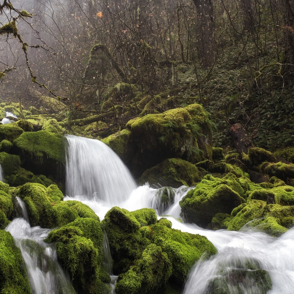 Обои река, природа, river, nature разрешение 3840x2160 Загрузить