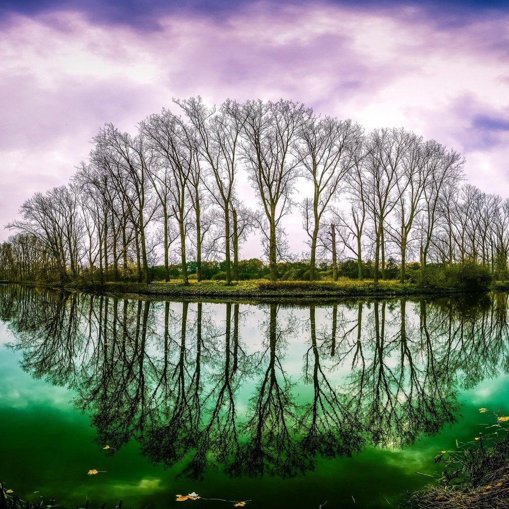 Обои деревья, вода, река, природа, осень, trees, water, river, nature, autumn разрешение 3840x2160 Загрузить