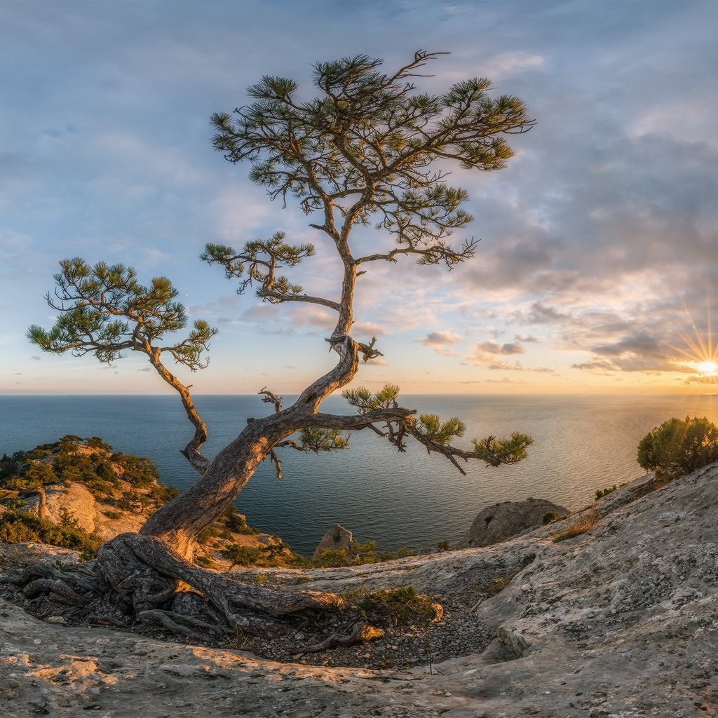 Обои крым, солнце, природа, закат, лучи, пейзаж, море, осень, сосна, crimea, the sun, nature, sunset, rays, landscape, sea, autumn, pine разрешение 1980x1338 Загрузить