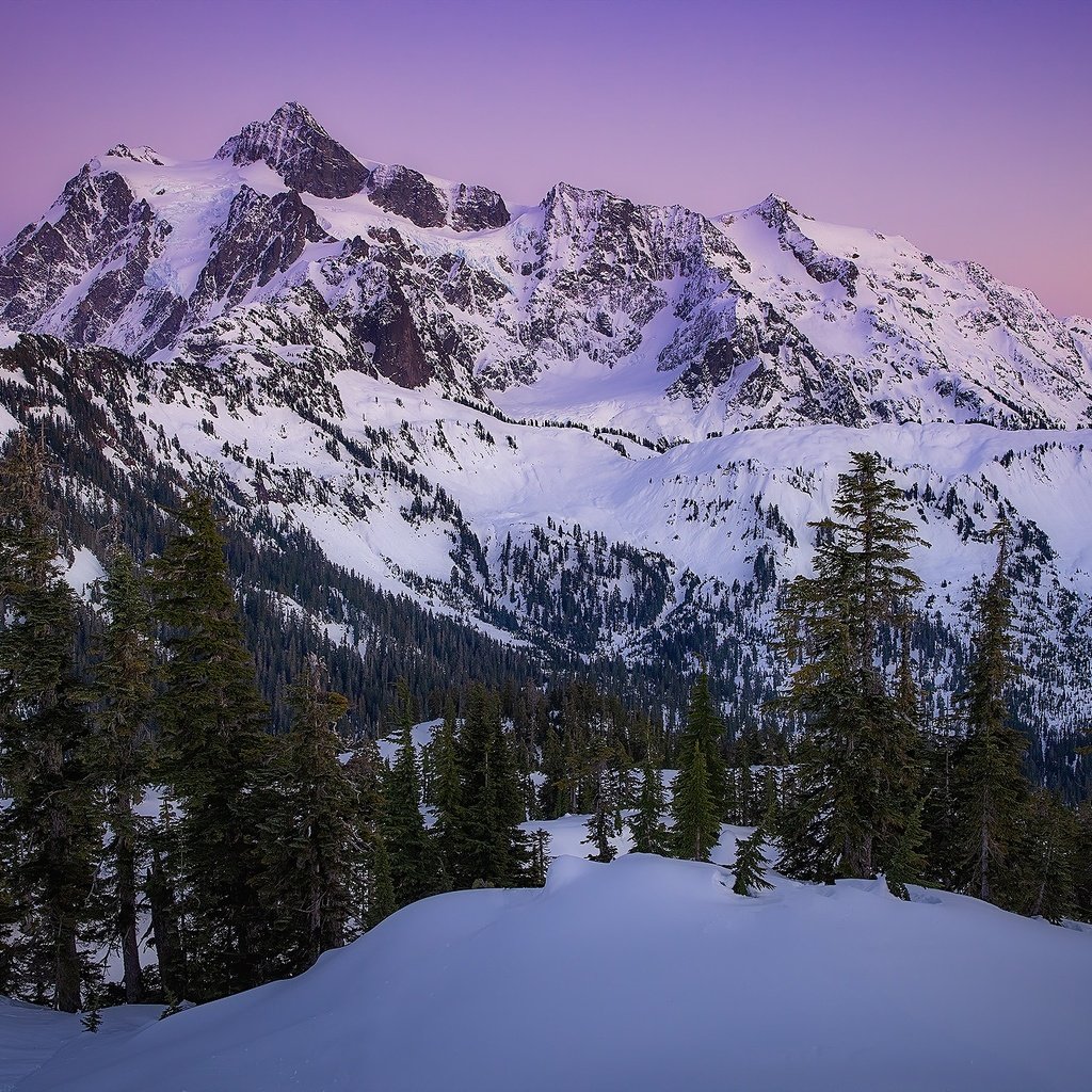 Обои деревья, горы, снег, закат, каскадные горы, штате вашингтон, cascade range, гора шуксан, trees, mountains, snow, sunset, the cascade mountains, washington state, mountain shuksan разрешение 2000x1334 Загрузить