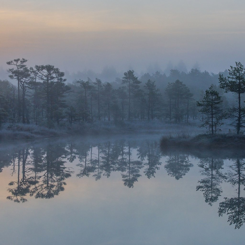 Обои деревья, озеро, скала, туман, островок, trees, lake, rock, fog, island разрешение 2880x1800 Загрузить