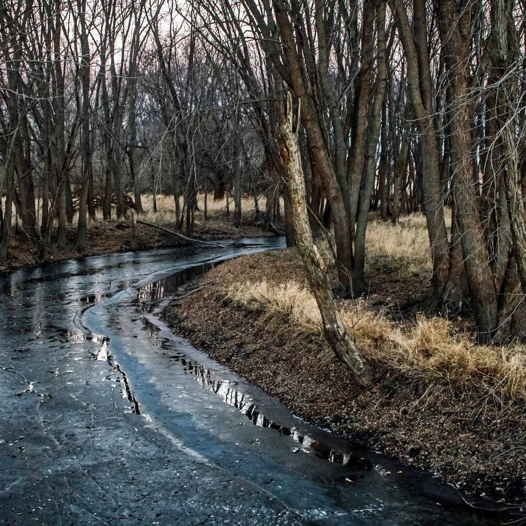 Обои деревья, река, природа, trees, river, nature разрешение 3840x2160 Загрузить