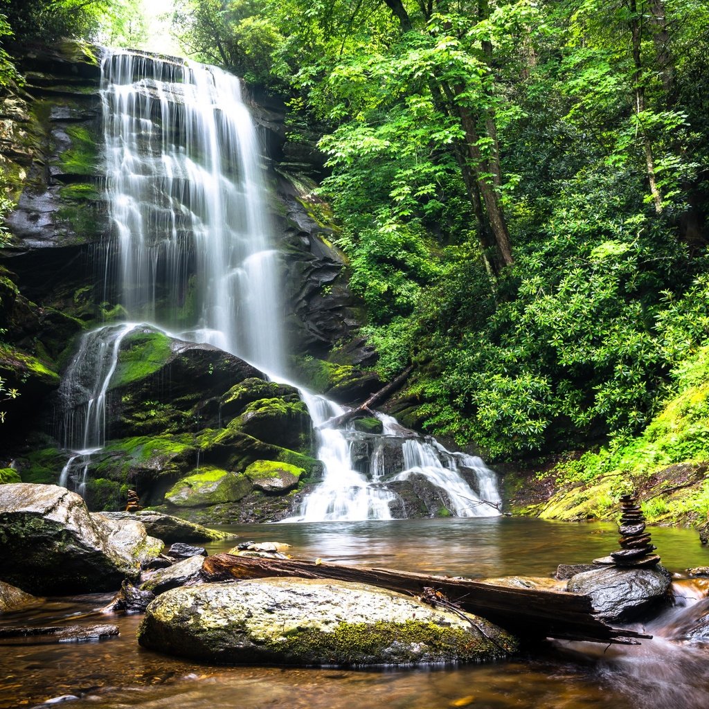 Обои деревья, вода, природа, камни, лес, водопад, trees, water, nature, stones, forest, waterfall разрешение 5120x3417 Загрузить