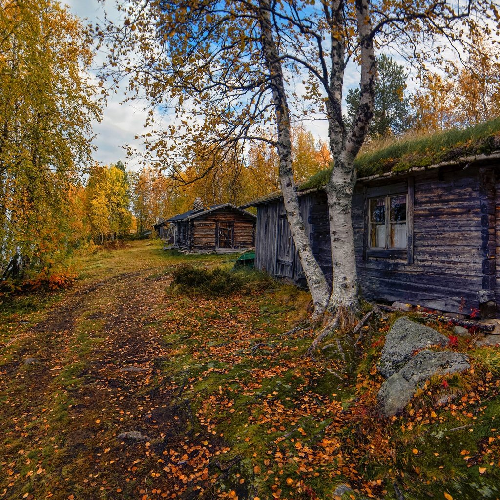 Обои дорога, дом, деревья, домик, окно, берег, листопад, лес, березы, листва, осень, водоем, road, house, trees, window, shore, falling leaves, forest, birch, foliage, autumn, pond разрешение 3072x1728 Загрузить