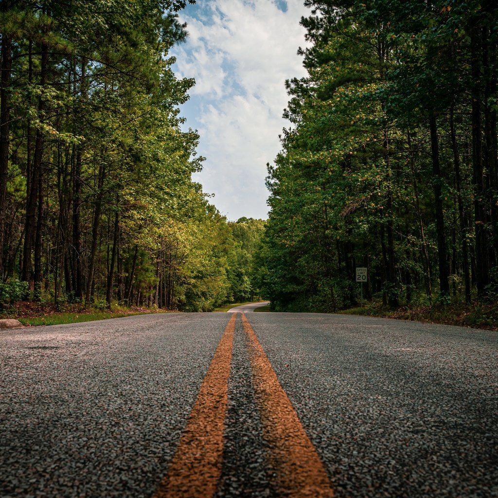 Обои дорога, лес, road, forest разрешение 3840x2160 Загрузить