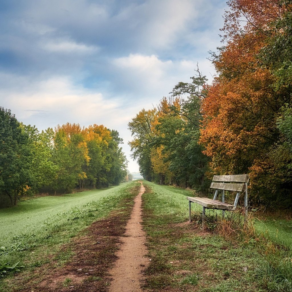 Обои дорога, осень, скамья, road, autumn, bench разрешение 2048x1365 Загрузить