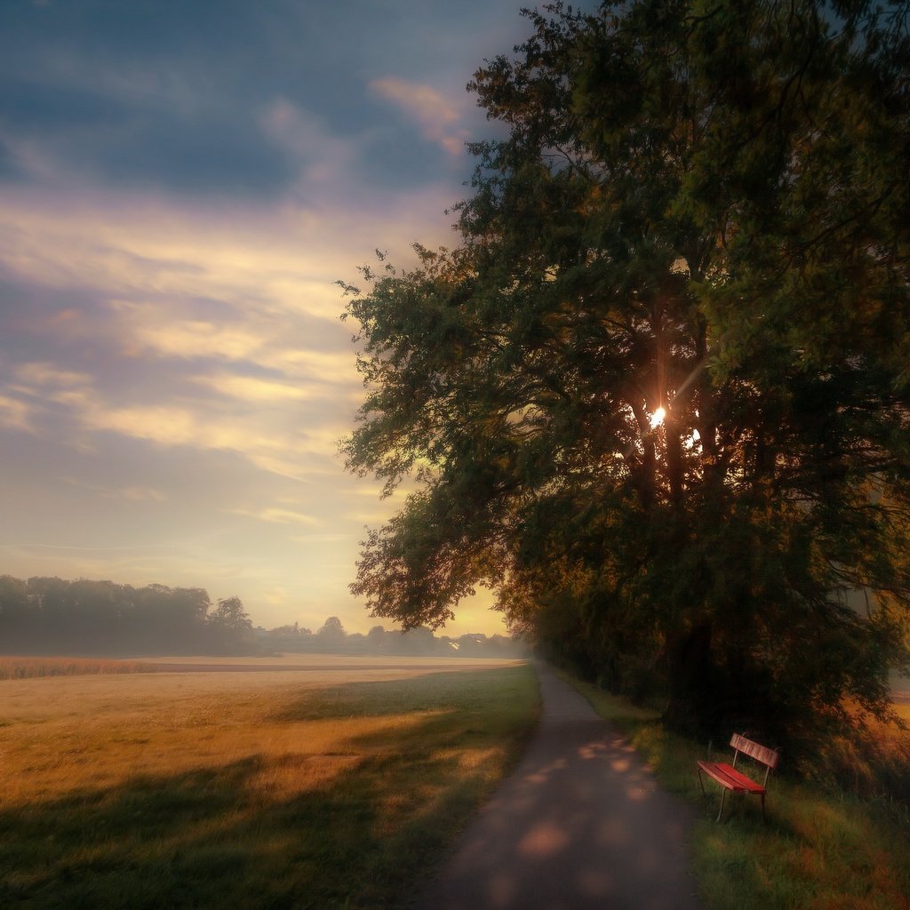 Обои дорога, утро, туман, скамья, road, morning, fog, bench разрешение 3840x2160 Загрузить