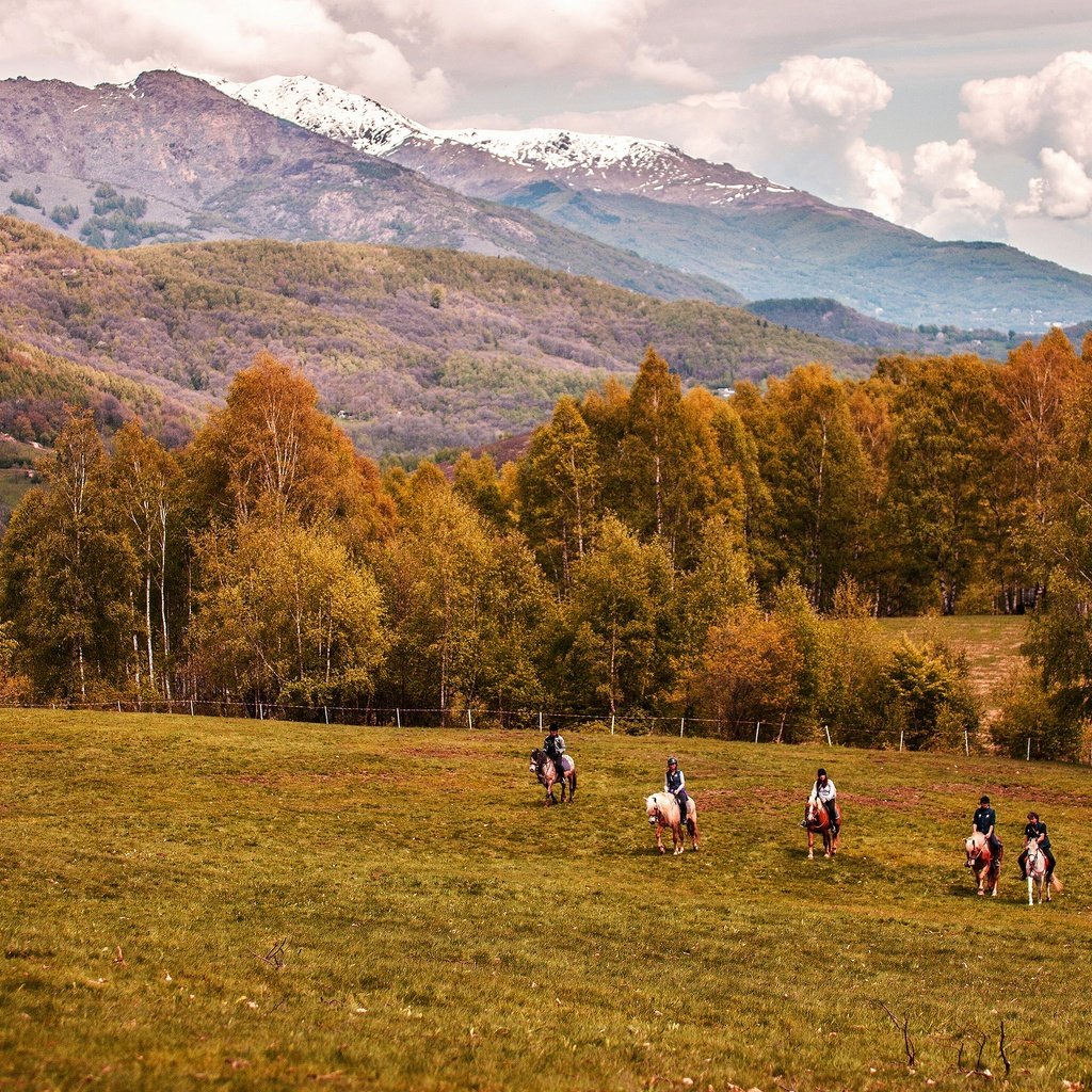 Обои горы, лес, осень, лошади, кони, mountains, forest, autumn, horse, horses разрешение 3840x2160 Загрузить