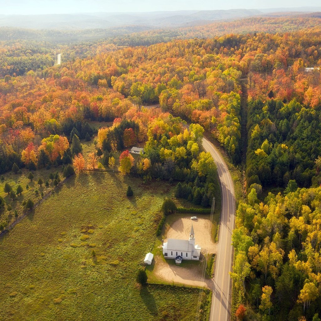 Обои лес, храм, осень, forest, temple, autumn разрешение 2048x1300 Загрузить