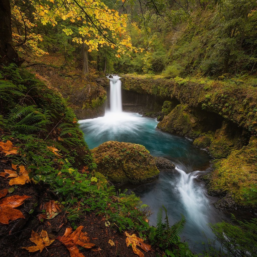 Обои лес, водопад, осень, forest, waterfall, autumn разрешение 2000x1443 Загрузить