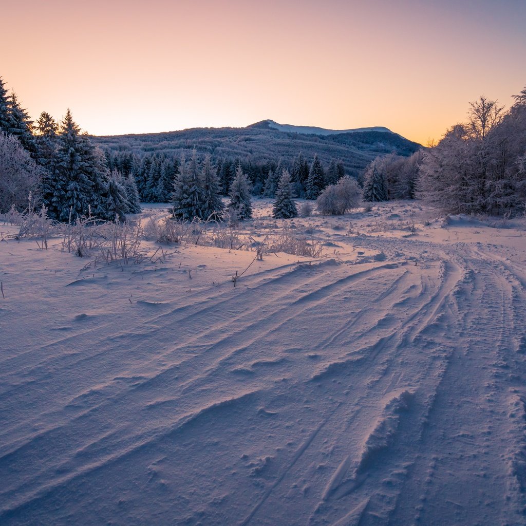 Обои небо, ели, дорога, вечер, горы, снег, лес, зима, ветки, the sky, ate, road, the evening, mountains, snow, forest, winter, branches разрешение 7480x4989 Загрузить