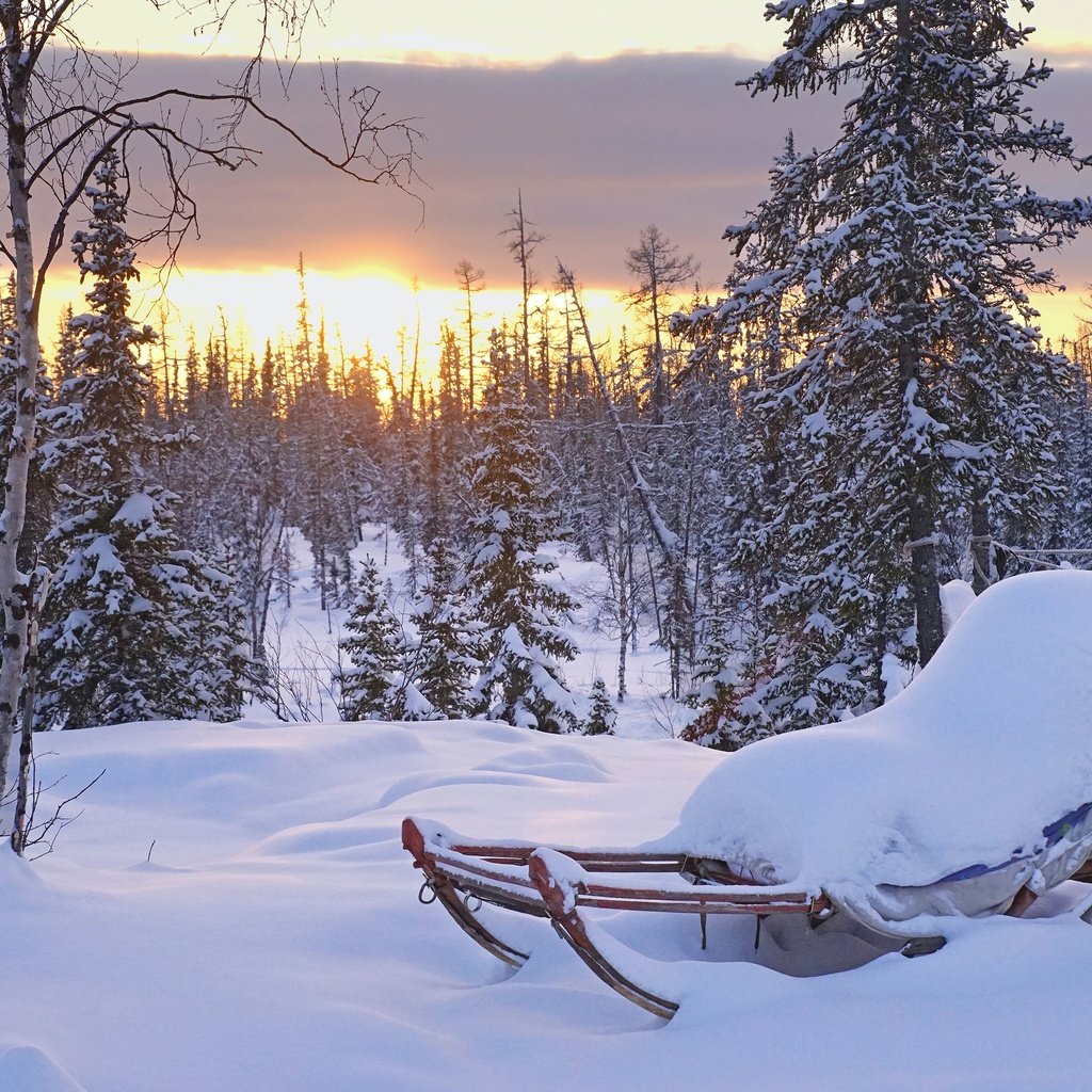 Обои облака, сосны, солнце, ели, снег, сугробы, природа, лес, закат, зима, сани, clouds, pine, the sun, ate, snow, the snow, nature, forest, sunset, winter, sleigh разрешение 3840x2560 Загрузить