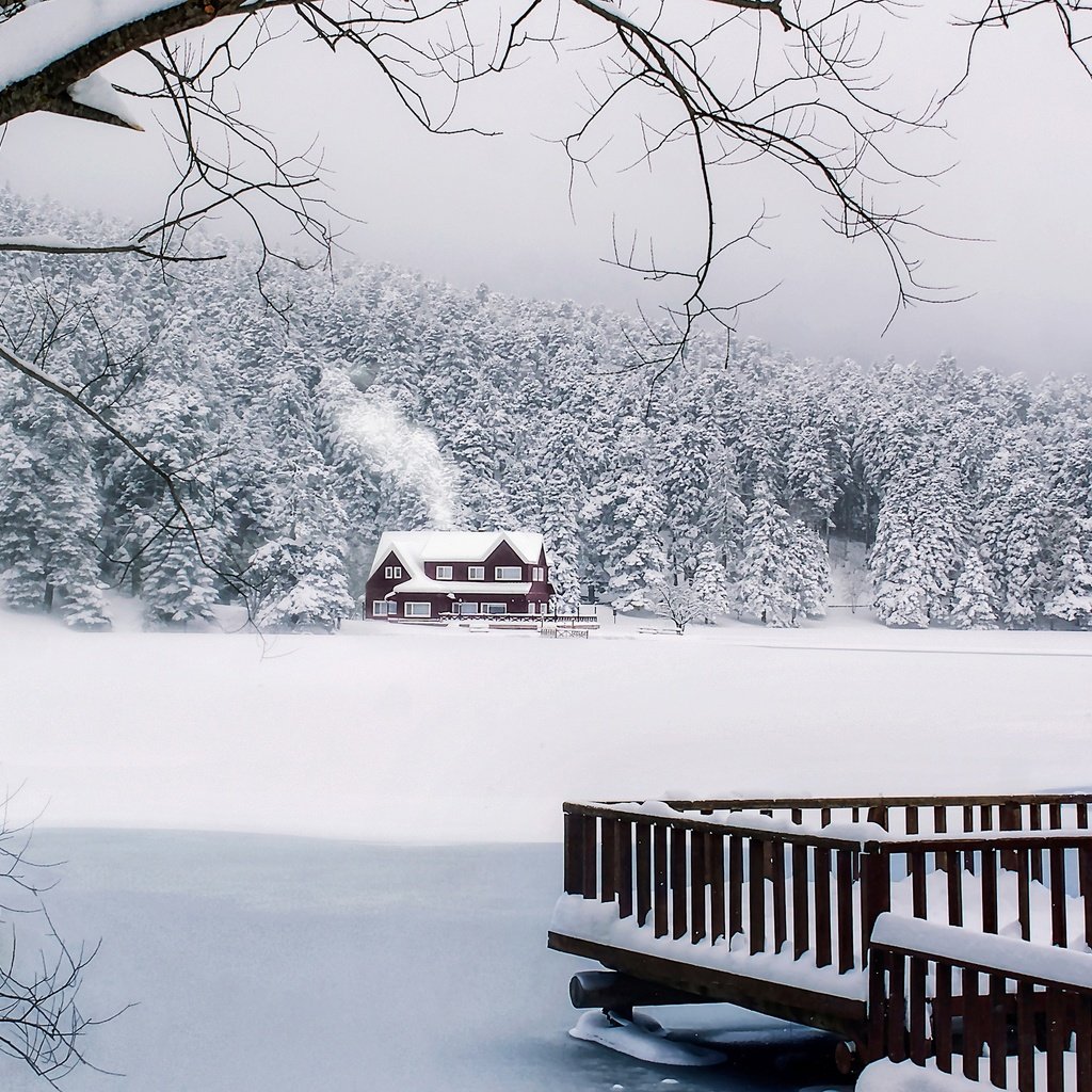 Обои снег, лес, зима, дом, турция, snow, forest, winter, house, turkey разрешение 3000x2000 Загрузить