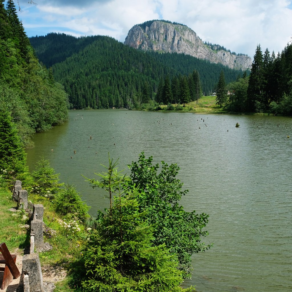 Обои озеро, горы, лес, скамейка, румыния, red lake, lake, mountains, forest, bench, romania разрешение 3264x2176 Загрузить