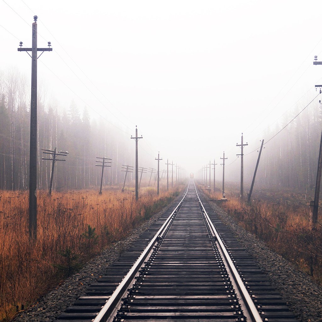 Обои железная дорога, лес, осень, railroad, forest, autumn разрешение 1920x1080 Загрузить