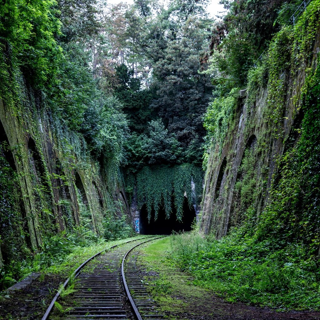 Обои деревья, железная дорога, природа, мох, тоннель, trees, railroad, nature, moss, the tunnel разрешение 3840x2560 Загрузить